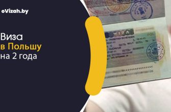 на 2 года